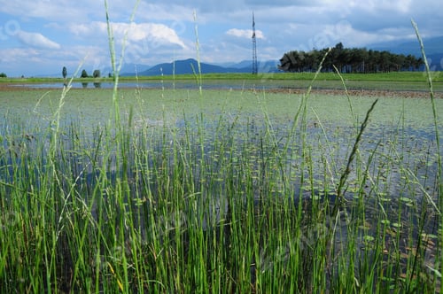 Preview: Scenic Landscape