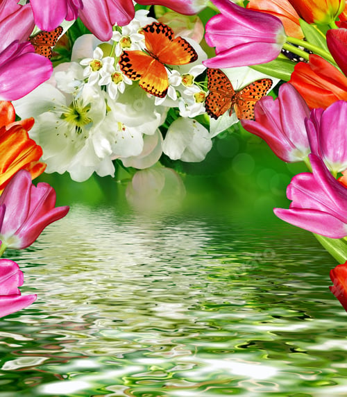 Preview: Flowering Branch Of Pear. Tulips; Butterfly; Snowdrop.