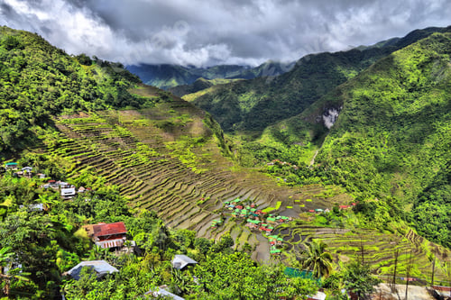 Preview: Rice Paddies Landscape In Philippines. Rice Terraces In Batad, Philippines.