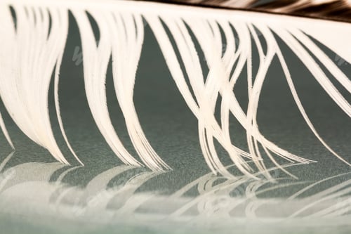 Preview: Colorful Hen Feather With Details And Reflexions