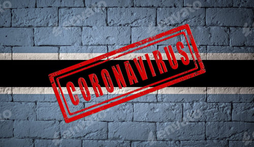 Preview: Flag Of The Botswana On Brick Wall Texture. Stamped Of Coronavirus. Corona Virus Concept. On The