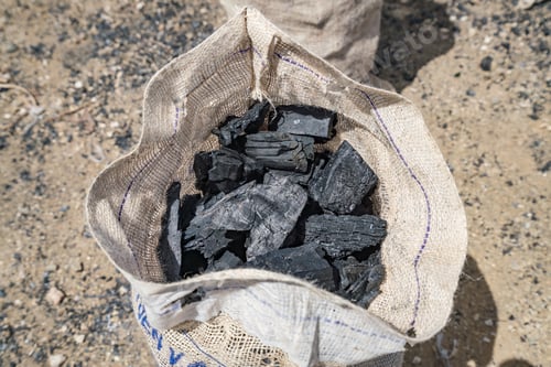 Preview: Charcoal Making Views Around The Caribbean Island Of Curacao