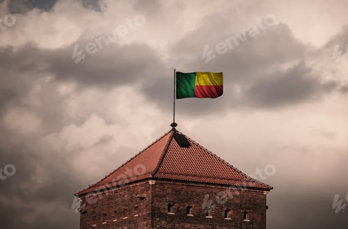 Preview: Flag With Original Proportions. Flag Of The Benin