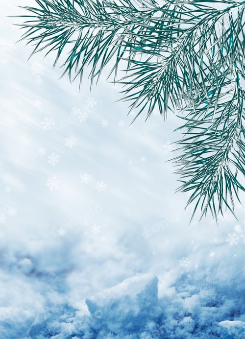 Preview: Background Of Snow. Winter Landscape