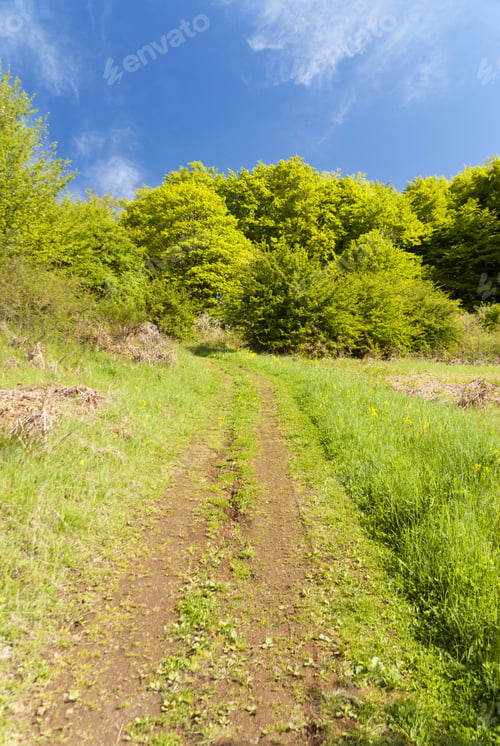 Preview: On The Hiking Trail Eifelsteig In The Eifel, Germany