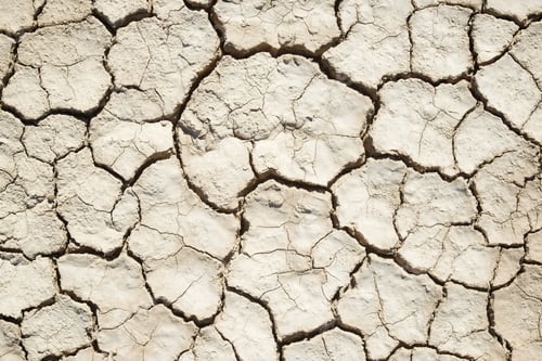 Preview: Cracked Earth Texture in Arid Desert Environment