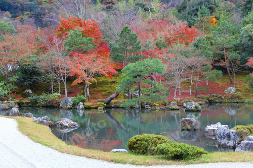 Preview: Kyoto, Japan - Tenryuji Gardens In Arashiyama. Autumn Leaves.