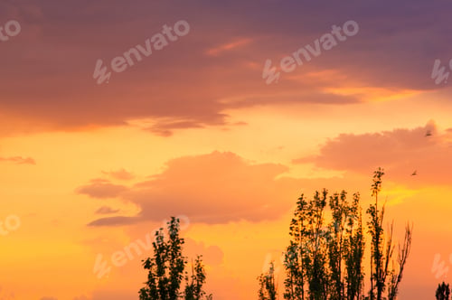 Preview: Landscape With Dramatic Light - Beautiful Golden Sunset With Saturated Sky And Clouds.