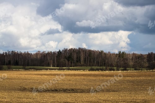 Preview: Processed Cereal Fields In Spring