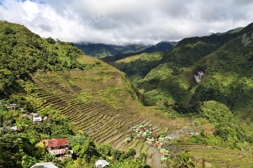 Preview: Philippines Rice Terraces - Rice Cultivation In Batad Village (Banaue Area).