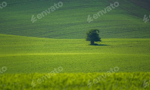 Preview: Beautiful Landscape Of South Moravia