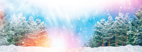Preview: Frozen Winter Forest With Snow Covered Trees. Outdoor