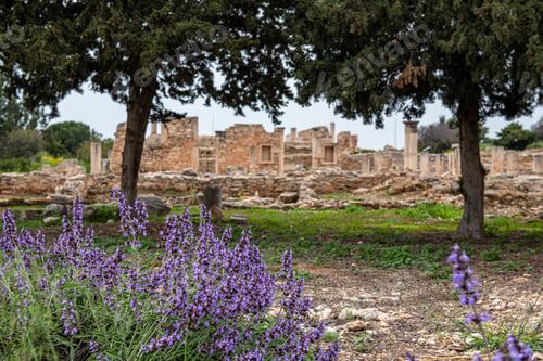 Preview: Ancient Columns Of Apollon Hylates, God Of Woodland, Sanctuary In Limassol District, Cyprus