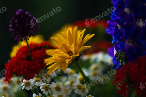 Preview: A Bouquet Of Bright Spring Flowers Of Various Types