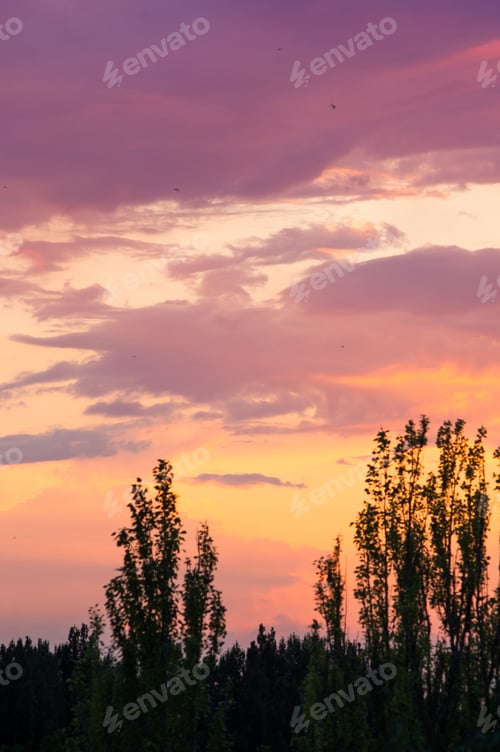 Preview: Landscape With Dramatic Light - Beautiful Golden Sunset With Saturated Sky And Clouds.