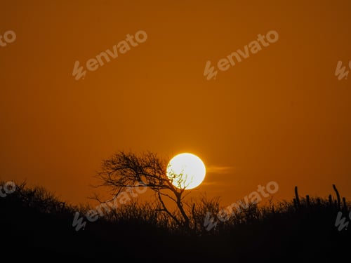 Preview: Sunset Views Around The Small Caribbean Island Of Curacao