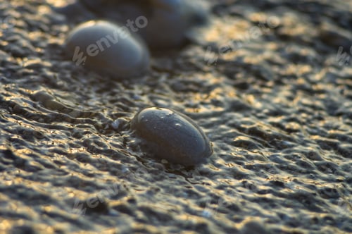 Preview: Pebble Stones On The Sea Beach, The Rolling Waves Of The Sea With Foam