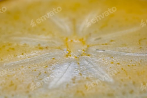 Preview: Persimmon Slice - Texture