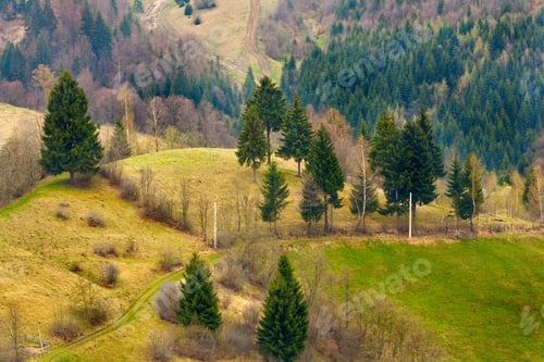 Preview: Beautiful Moody Landscape With Mountains And Pine Trees