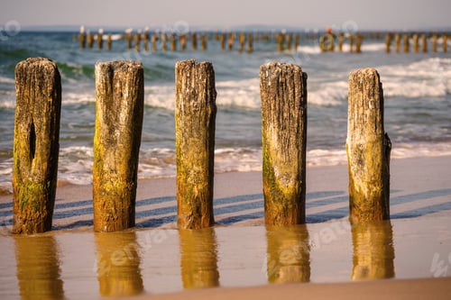 Preview: Breakwater On The Beach At Sunset, Close Up