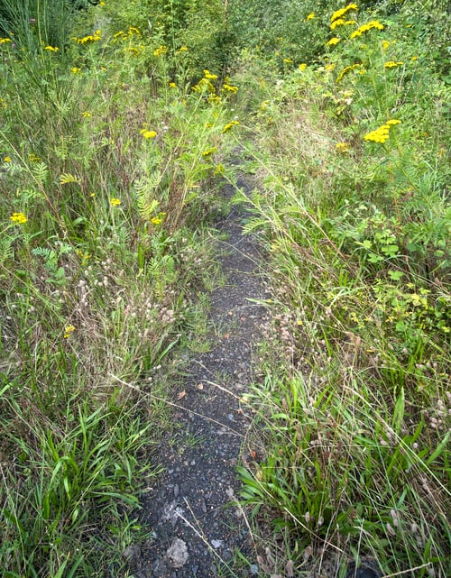 Preview: Narrow Cinder Countryside Path Image