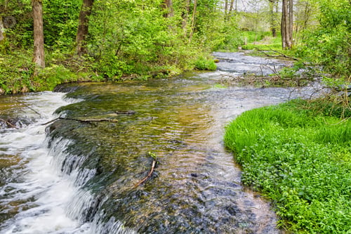 Preview: Szumy Na Tanwi (Cascades On Tanew River) Roztocze (Roztochia), Roztoczanski Park Narodowy (Roztocze