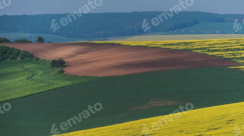 Preview: South Moravia Landscape And Farmland At Sunrise