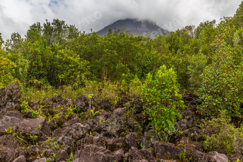 Preview: Arenal Volcano. Costa Rica