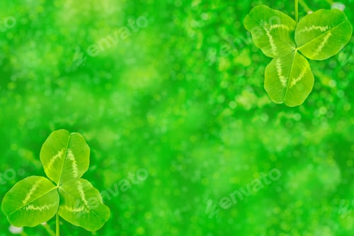 Preview: Green Clover Leaves On A Background Summer Landscape. St.Patrick 'S Day.