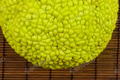 Preview: Green Fruit Of Maclura Pomifera, Osage Orange, Horse Apple, Adam Apple Grow On Bamboo Mat