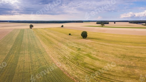 Preview: Beautiful Summer Fields From Above. Drone Photography Of Summer Polish Fields.