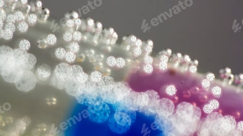 Preview: Abstract Composition With Underwater Tubes With Colorful Jelly Balls Inside And Bubbles