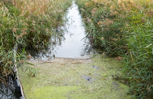 Preview: Field Drainage Ditch Full Of Water