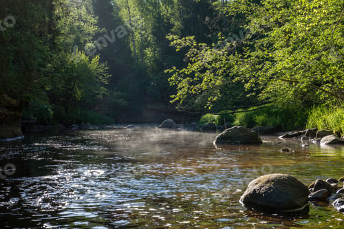 Preview: Sunrise Over The Forest River In Woods, Early Light On River Amata In Latvia. Stream With Rocks And