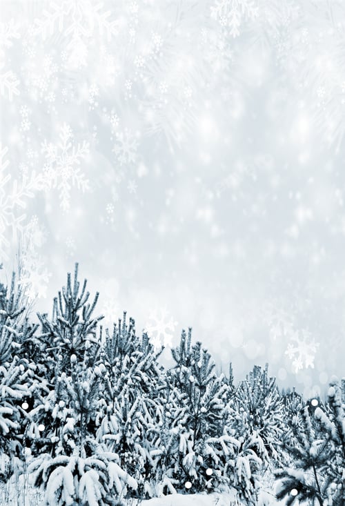 Preview: Winter Landscape. Background.