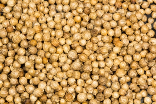 Preview: Coriander Seeds Texture With Black Background