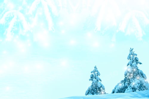 Visualização: Árvore de Natal isolada em fundo branco. Abeto
.