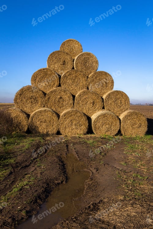 Preview: Hay Roll Stack On The Field