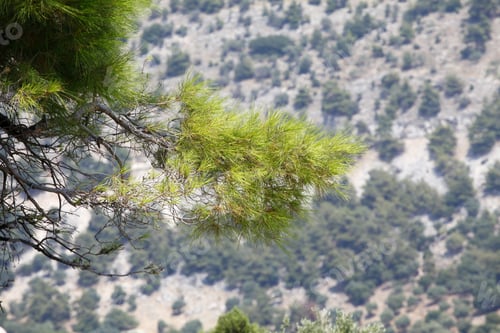 Preview: Thassos Island - Beautiful Greek Landscape