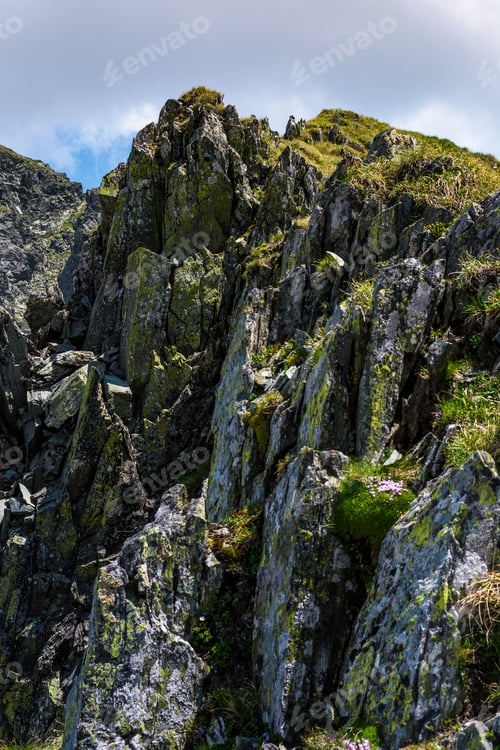 Preview: Rocky Cliffs Of Fagaras Mountains In Summertime. Beautiful Nature Scenery On High Altitude