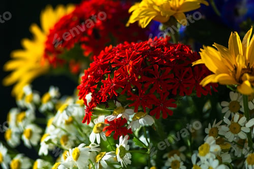 Preview: A Bouquet Of Bright Spring Flowers Of Various Types