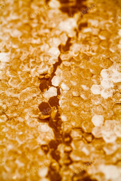 Preview: Honeycomb Filled With Honey - Details