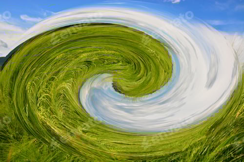 Preview: Field Of Wheat And Sky