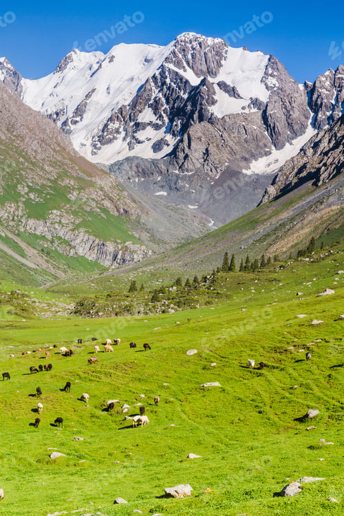 Preview: Alatau Plateau In Tian Shan Mountains, Karakol, Kyrgyzstan, Central Asia