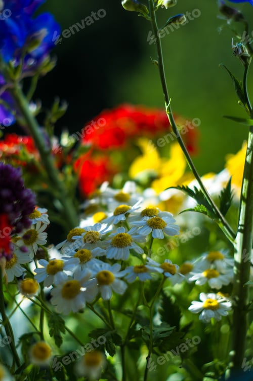 Preview: A Colorful Bouquet Of Bright Spring Flowers Of Various Types, Close-Up