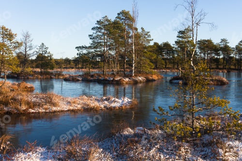 Preview: Boglake In Winter, With Clouds And Ice