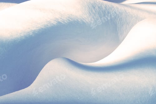Preview: Winter Snowbacks