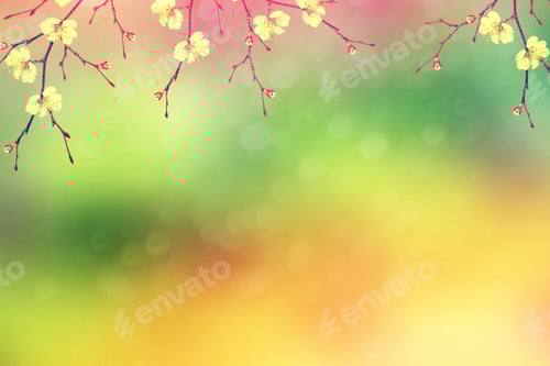 Preview: Blossoming Branch Cherry. Bright Colorful Spring Flowers