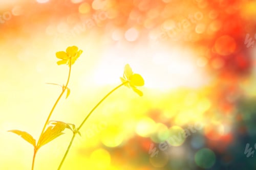 Preview: Bright Yellow Flowers Buttercups On A Background Summer Landscape.
