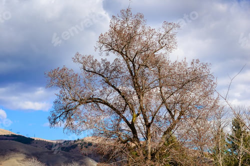 Preview: Amazing Landscape With Dramatic Clouds, Armenia